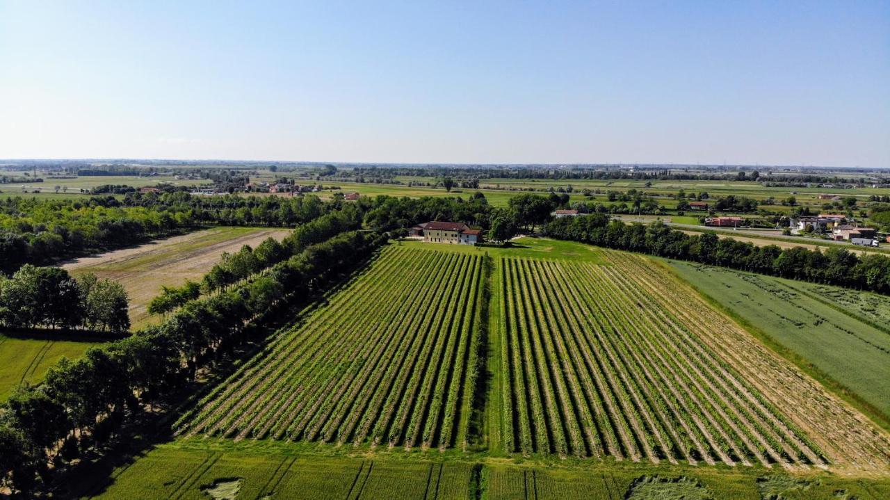 Agriturismo Ae Cavane Codevigo Eksteriør billede